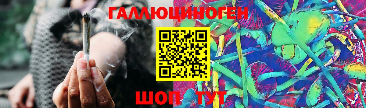 Галлюциногенные грибы Psilocybe Иваново