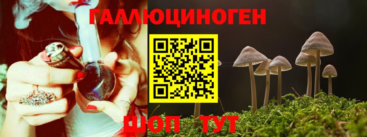 Иваново  Галлюциногенные грибы Psilocybe  Вход с VPN 